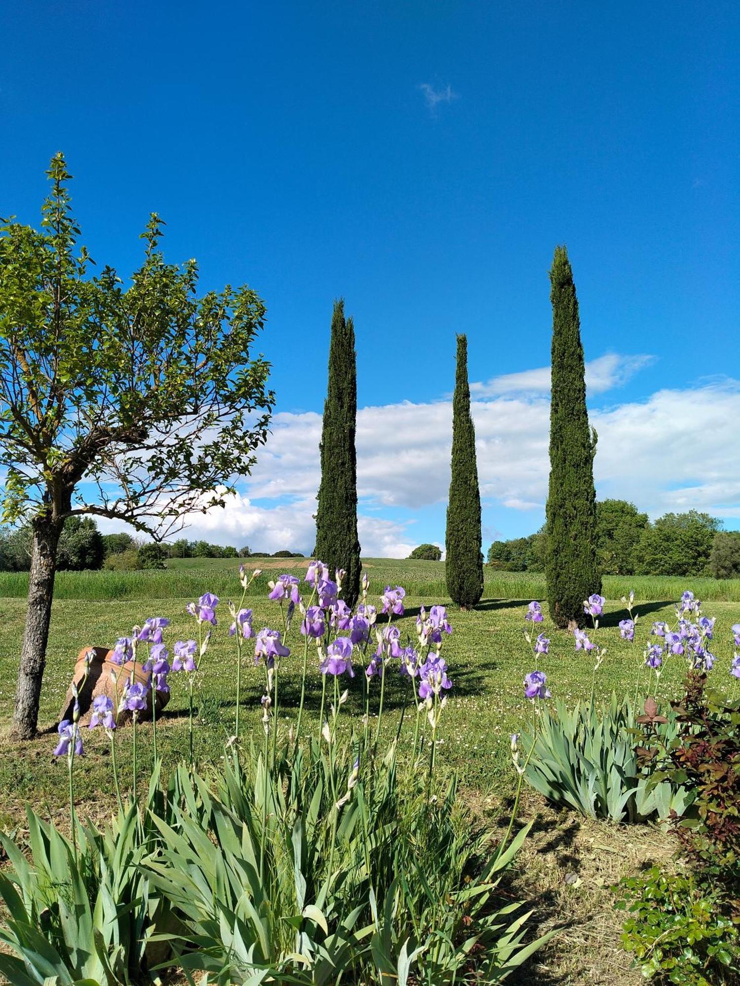 Villa Nobile Cortona Family Apartments Εξωτερικό φωτογραφία